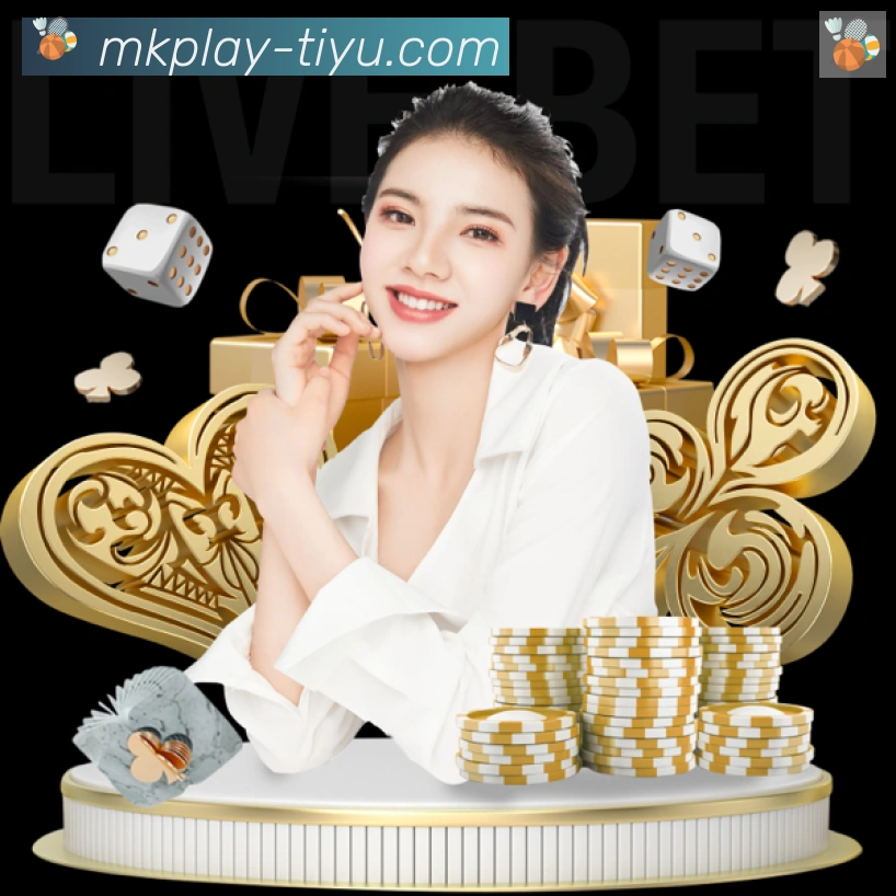 对战数据统计